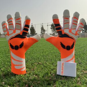 Guante Phoenix
